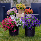 💖Summer Hot Sale 49%OFF🌺UV Resistant Colorful Artificial Flower (Zero Pollen Allergies)
