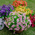 💖Summer Hot Sale 49%OFF🌺UV Resistant Colorful Artificial Flower (Zero Pollen Allergies)