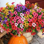 💖Summer Hot Sale 49%OFF🌺UV Resistant Colorful Artificial Flower (Zero Pollen Allergies)