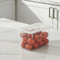 Clear Refrigerator Organizer Bin with Handle